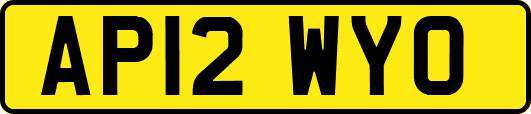 AP12WYO