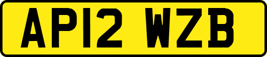 AP12WZB