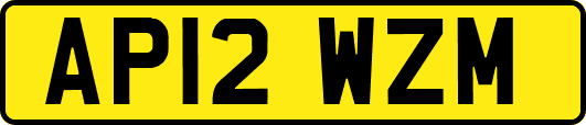 AP12WZM