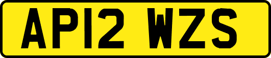 AP12WZS