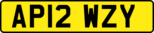 AP12WZY