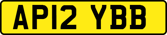 AP12YBB