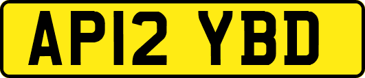 AP12YBD