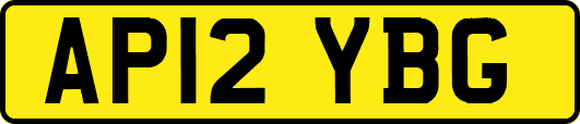 AP12YBG