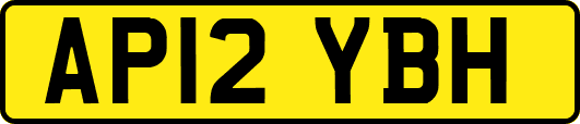 AP12YBH