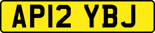 AP12YBJ