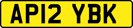 AP12YBK