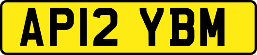 AP12YBM