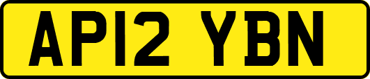 AP12YBN