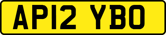 AP12YBO