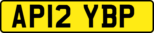 AP12YBP