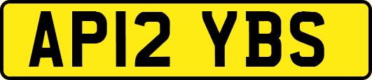 AP12YBS