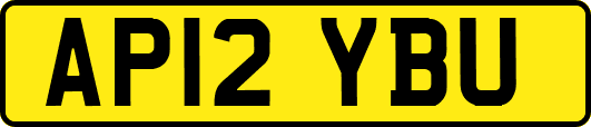 AP12YBU