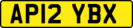 AP12YBX