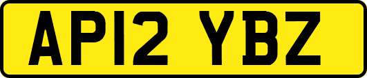 AP12YBZ