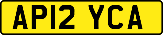 AP12YCA