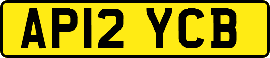 AP12YCB