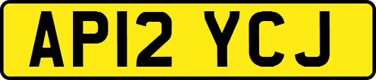 AP12YCJ