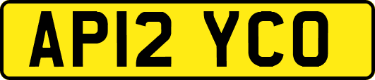 AP12YCO