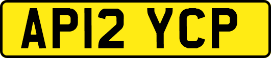 AP12YCP