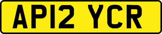 AP12YCR