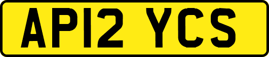 AP12YCS