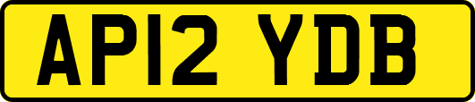AP12YDB