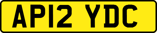 AP12YDC