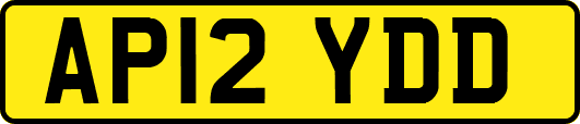 AP12YDD