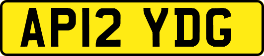AP12YDG