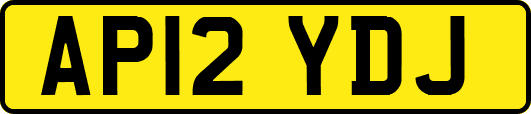 AP12YDJ