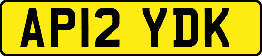 AP12YDK