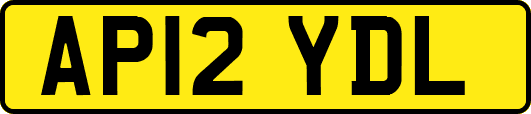 AP12YDL