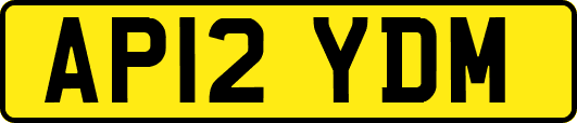 AP12YDM