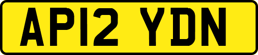 AP12YDN