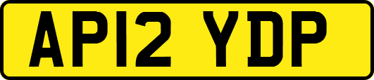 AP12YDP