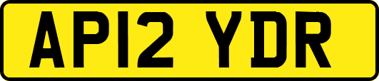 AP12YDR