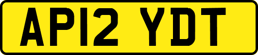 AP12YDT