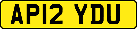 AP12YDU
