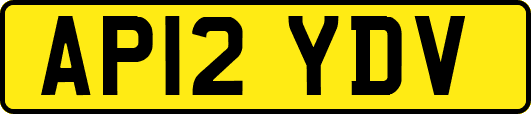 AP12YDV