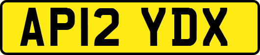 AP12YDX