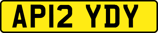 AP12YDY