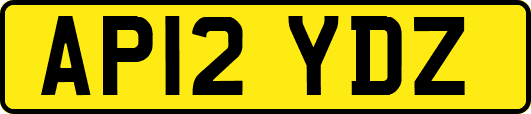 AP12YDZ