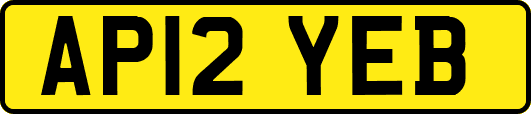 AP12YEB