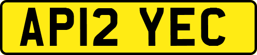 AP12YEC