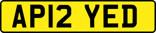 AP12YED