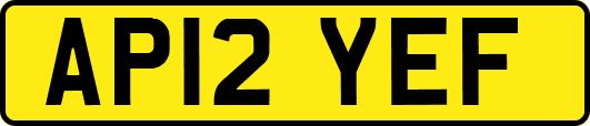 AP12YEF