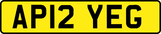 AP12YEG
