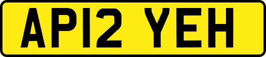 AP12YEH