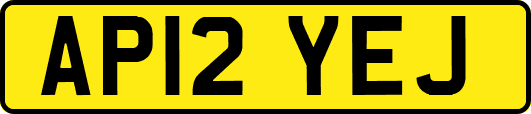 AP12YEJ
